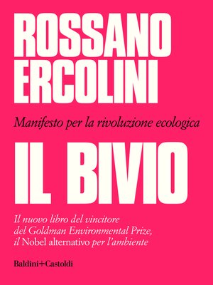 cover image of Il bivio